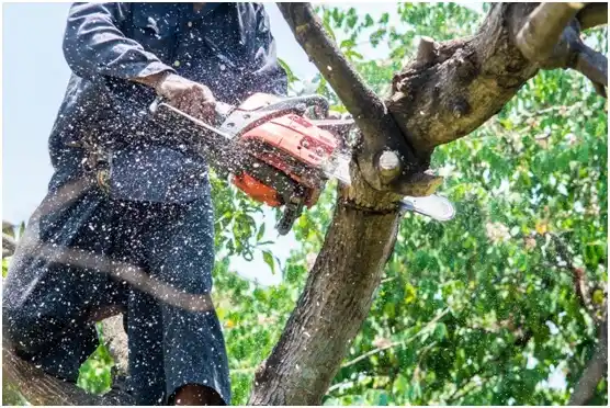 tree services Glenpool